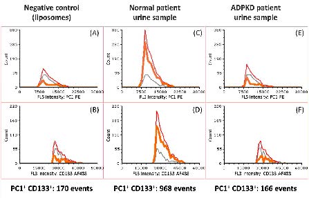 Step-by-Step Protocol For The Delaware